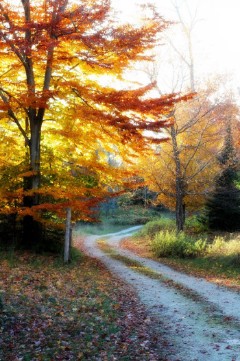 Wisconsin Fall Countryside Take the scenic route | Citizens for a Scenic Wisconsin